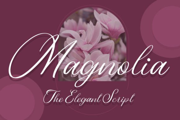Magnolia Font: The Elegant Script for Modern Branding